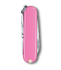 Складаний ніж Victorinox CLASSIC SD Colors 0.6223.51G картинка, зображення, фото