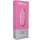 Складной нож Victorinox CLASSIC SD Colors 0.6223.51G фото