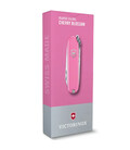 Складаний ніж Victorinox CLASSIC SD Colors 0.6223.51G картинка, зображення, фото