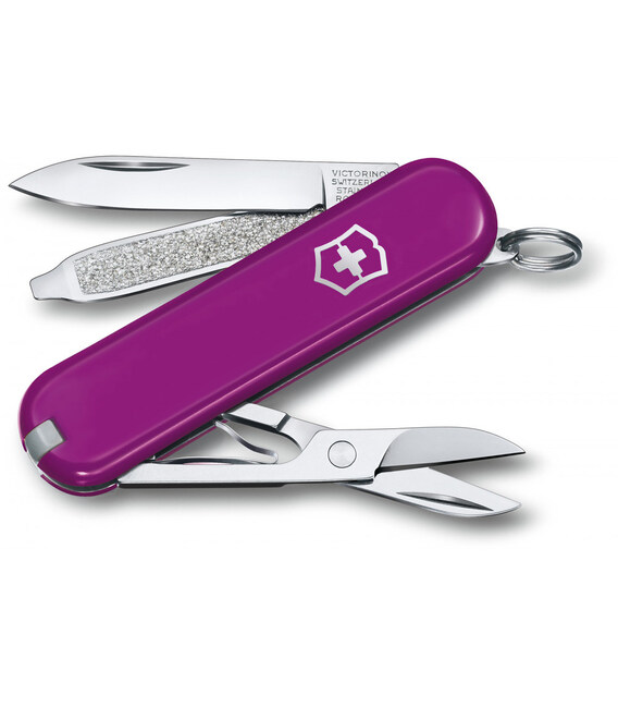 Складной нож Victorinox CLASSIC SD Colors 0.6223.52G фото