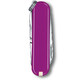 Складной нож Victorinox CLASSIC SD Colors 0.6223.52G фото
