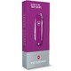 Складной нож Victorinox CLASSIC SD Colors 0.6223.52G фото