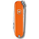 Складной нож Victorinox CLASSIC SD Colors 0.6223.83G фото