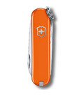 Складаний ніж Victorinox CLASSIC SD Colors 0.6223.83G картинка, зображення, фото
