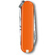 Складной нож Victorinox CLASSIC SD Colors 0.6223.83G фото