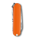 Складаний ніж Victorinox CLASSIC SD Colors 0.6223.83G картинка, зображення, фото