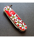Складаний ніж Victorinox CLASSIC SD 0.6223.840 картинка, зображення, фото