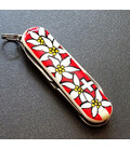 Складаний ніж Victorinox CLASSIC SD 0.6223.840 картинка, зображення, фото