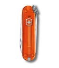 Складаний ніж Victorinox CLASSIC SD Colors 0.6223.T82G картинка, зображення, фото