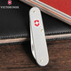 Складаний ніж Victorinox BANTAM Alox 0.2300.26 - картинка, зображення, фото ножа