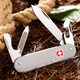 Складной нож Victorinox Cadet 0.2601.26 фото