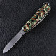 Складной нож Victorinox SPARTAN 1.3603.94B1 фото
