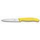Кухонний ніж Victorinox Swiss Classic Paring 6.7706.L118 - картинка, зображення, фото ножа