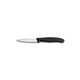 Кухонный нож Victorinox Swiss Classic Paring 6.7603 фото