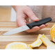 Кухонный нож Victorinox Swiss Classic Paring 6.7603 фото
