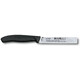 Кухонний ніж Victorinox Swiss Classic Paring 6.7703 - картинка, зображення, фото ножа