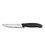 Кухонний ніж Victorinox SwissClassic Steak 6.7903.12 картинка, зображення, фото