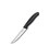Кухонний ніж Victorinox SwissClassic Steak 6.7903.12 картинка, зображення, фото