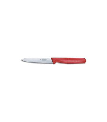 Кухонний ніж Victorinox Standard Paring 5.0701 картинка, зображення, фото