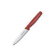 Кухонный нож Victorinox Standard Paring 5.0701 фото