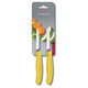 Кухонный нож Victorinox Swiss Classic Paring 6.7606.L118B фото