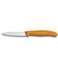 Кухонний ніж Victorinox Swiss Classic Paring 6.7606.L119 картинка, зображення, фото