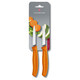 Кухонний ніж Victorinox Swiss Classic Paring 6.7606.L119B - картинка, зображення, фото ножа