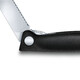 Кухонний ніж Victorinox SwissClassic Foldable Paring 6.7833.FB - картинка, зображення, фото ножа