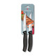 Кухонный набор Victorinox SwissClassic Steak Set 6.7903.12B фото