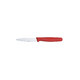 Кухонний ніж Victorinox Standard Paring 5.0601 - картинка, зображення, фото ножа