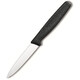 Кухонний ніж Victorinox Standard Paring 5.0603 - картинка, зображення, фото ножа