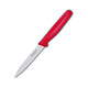 Кухонний ніж Victorinox Standard Paring 5.0731 - картинка, зображення, фото ножа