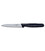 Кухонный нож Victorinox Standard Paring 5.0733 картинка, изображение, фото