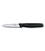 Кухонний ніж Victorinox Standard Paring 5.3033 картинка, зображення, фото