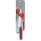 Кухонный нож Victorinox Swiss Modern Carving 6.9016.221B фото