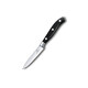 Кухонний ніж Victorinox Grand Maitre Kitchen 7.7203.10G - картинка, зображення, фото ножа