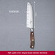 Кухонный нож Victorinox Grand Maitre Wood Santoku 7.7320.17G фото