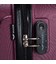 Чемодан Wings 310 маленький S бордовый фото, картинка, изображение