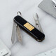 Складной нож Victorinox CLASSIC GOLD 0.6203.87 фото