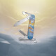 Складаний ніж Victorinox CADET Winter Magic LE 2023 0.2601.22E1 - картинка, зображення, фото ножа