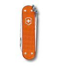 Складаний ніж Victorinox CLASSIC SD 0.6221.L21 картинка, зображення, фото