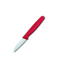 Кухонный нож Victorinox Standard Paring 5.0301 картинка, изображение, фото