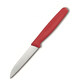 Кухонный нож Victorinox Standard Paring 5.0401 фото