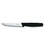 Кухонний ніж Victorinox Standard Steak 5.1233.20 картинка, зображення, фото