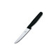 Кухонный нож Victorinox Standard Steak 5.1233.20 фото