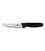 Кухонный нож Victorinox Standard Carving 5.1803.12 картинка, изображение, фото