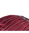 Рюкзак Victorinox Travel ALTMONT Active/Burgundy Vt602134 картинка, изображение, фото