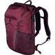 Рюкзак Victorinox Travel ALTMONT Active/Burgundy Vt602138 фото