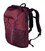 Рюкзак Victorinox Travel ALTMONT Active/Burgundy Vt602138 картинка, изображение, фото