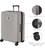 Чемодан Victorinox AIROX Advanced Stone White Maxi Vt653139 фото, картинка, изображение
